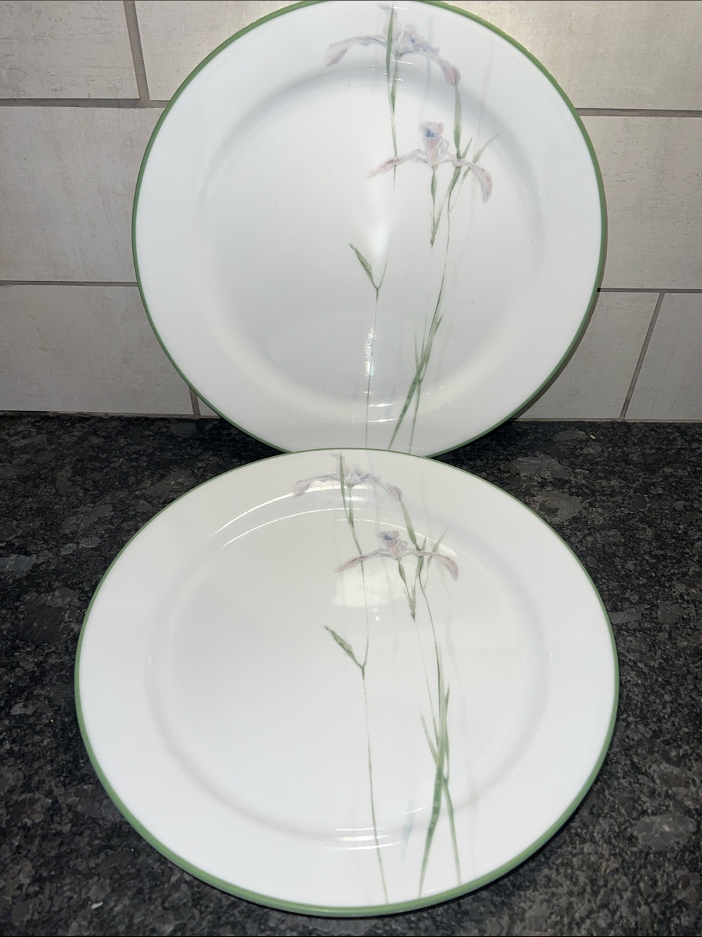 2 Corelle Shadow Iris Dinner Plates with Green Rim and Floral Detail -